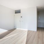 Rent 3 bedroom apartment of 67 m² in Haulerwijk