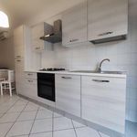 Rent 2 bedroom apartment of 55 m² in Albano Laziale