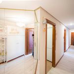 Rent 5 bedroom apartment in Bilbao