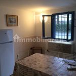 Rent 2 bedroom apartment of 35 m² in Pisa