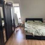 Rent 1 bedroom apartment of 43 m² in Wolfheze
