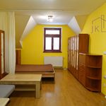 Rent 1 bedroom apartment in Hodonín