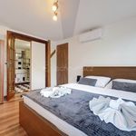 Rent 3 bedroom apartment of 110 m² in Praha
