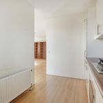 Rent a room of 93 m² in Leiden