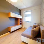 Rent 3 bedroom apartment of 56 m² in Kraków