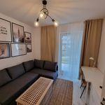 Wynajmij 2 sypialnię apartament z 36 m² w Lublin