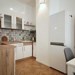 Rent 1 bedroom apartment of 60 m² in Budapest