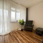 Rent 3 bedroom apartment of 65 m² in Chełm