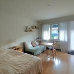 Rent 1 bedroom apartment in Bern