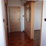 Rent 1 bedroom apartment of 34 m² in Hradec Králové