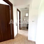 Rent 2 bedroom apartment of 55 m² in Velletri