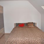Rent 1 bedroom apartment of 80 m² in Zulte
