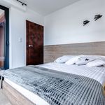 Rent 2 bedroom apartment of 41 m² in Kraków