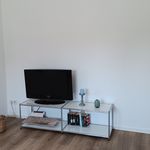 Rent 2 bedroom apartment of 56 m² in Cologne