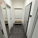 Rent 1 bedroom apartment of 35 m² in Pilsen