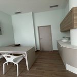 Rent 1 bedroom apartment in CASTELNAU-LE-LEZ