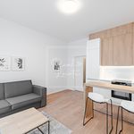 Rent 1 bedroom apartment of 28 m² in Prague