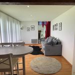 Rent 2 bedroom apartment of 47 m² in Colmar