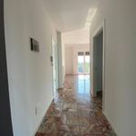 Rent 2 bedroom apartment of 65 m² in Merate