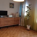 Rent 4 bedroom apartment of 80 m² in Nürnberg