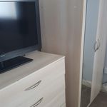 Rent 1 bedroom house in Hinckley and Bosworth