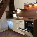 Rent 1 bedroom apartment of 28 m² in Liberec