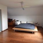 Rent 3 bedroom house of 350 m² in Stekene