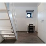 Rent 1 bedroom apartment of 17 m² in Marche-en-Famenne