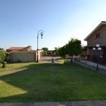 Affitto 5 camera casa di 250 m² in Albano Laziale