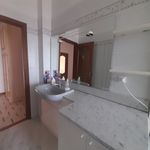 Rent 3 bedroom apartment in Venaria Reale