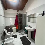 Rent 2 bedroom apartment of 65 m² in Moncalieri