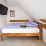 Miete 1 Schlafzimmer wohnung von 30 m² in Wolfsburg