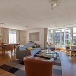 Rent 2 bedroom apartment of 115 m² in 's-Gravenhage