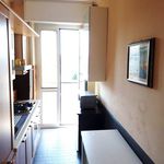 Affitto 1 camera appartamento di 45 m² in Milan