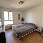 Rent 3 bedroom apartment of 80 m² in Perpignan