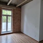 Rent 1 bedroom apartment of 19 m² in Jáchymov