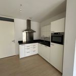 Rent 1 bedroom apartment of 108 m² in Haarlem