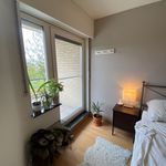 Rent 2 bedroom apartment in Vilvorde