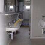 Rent 8 bedroom apartment of 200 m² in Sesvete