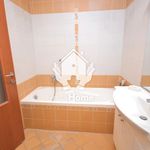 Rent 3 bedroom apartment of 80 m² in Debrecen