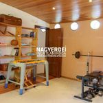 Rent 5 bedroom house of 230 m² in Debrecen