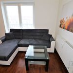 Rent 2 bedroom apartment of 66 m² in Brno