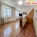 Rent 1 bedroom apartment of 31 m² in Brno
