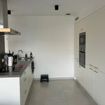Rent 3 bedroom house of 304 m² in Haacht