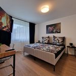 Miete 2 Schlafzimmer wohnung von 45 m² in Duisburg
