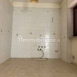 Rent 3 bedroom apartment of 75 m² in Foggia