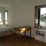 Alquilo 1 dormitorio apartamento de 35 m² en Palma