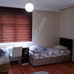 Rent 3 bedroom apartment of 145 m² in Cumhuriyet