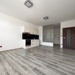 Rent 1 bedroom apartment of 65 m² in Humpolec