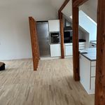 Rent 4 bedroom apartment of 118 m² in Randers C